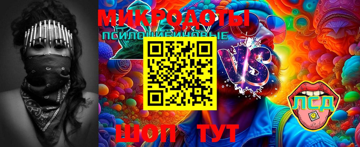 Галлюциногенные грибы Psilocybe Шатура