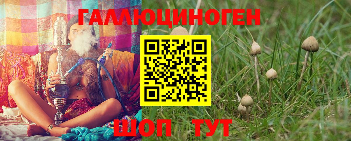 Галлюциногенные грибы мухоморы  Вход с VPN  Псилоцибиновые грибы прущие грибы  Шатура 